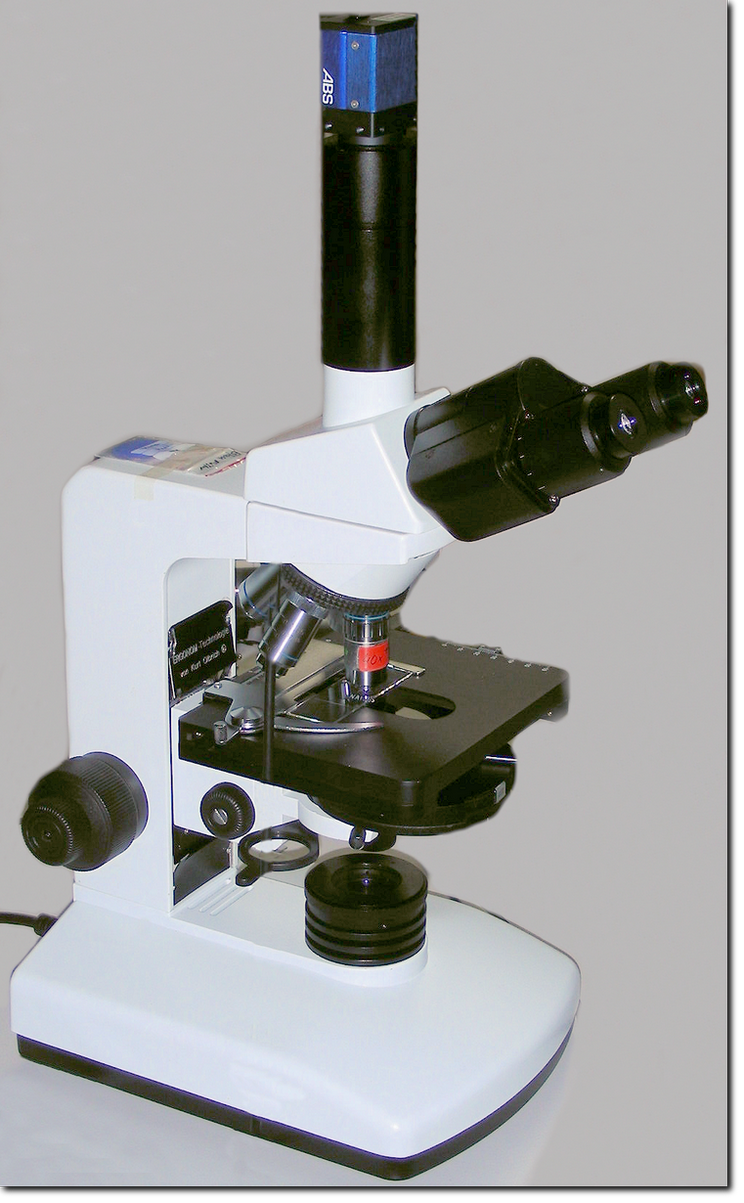 Ergonom 3000 Microscope